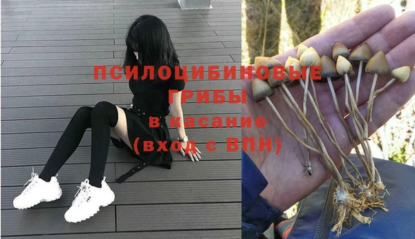 хмурый Богородск