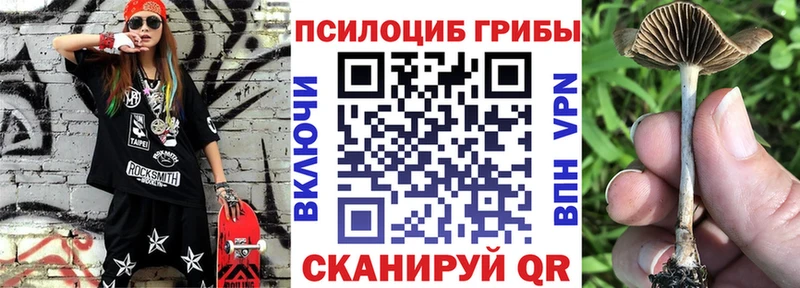 Галлюциногенные грибы Magic Shrooms  KRAKEN ТОР  Духовщина 